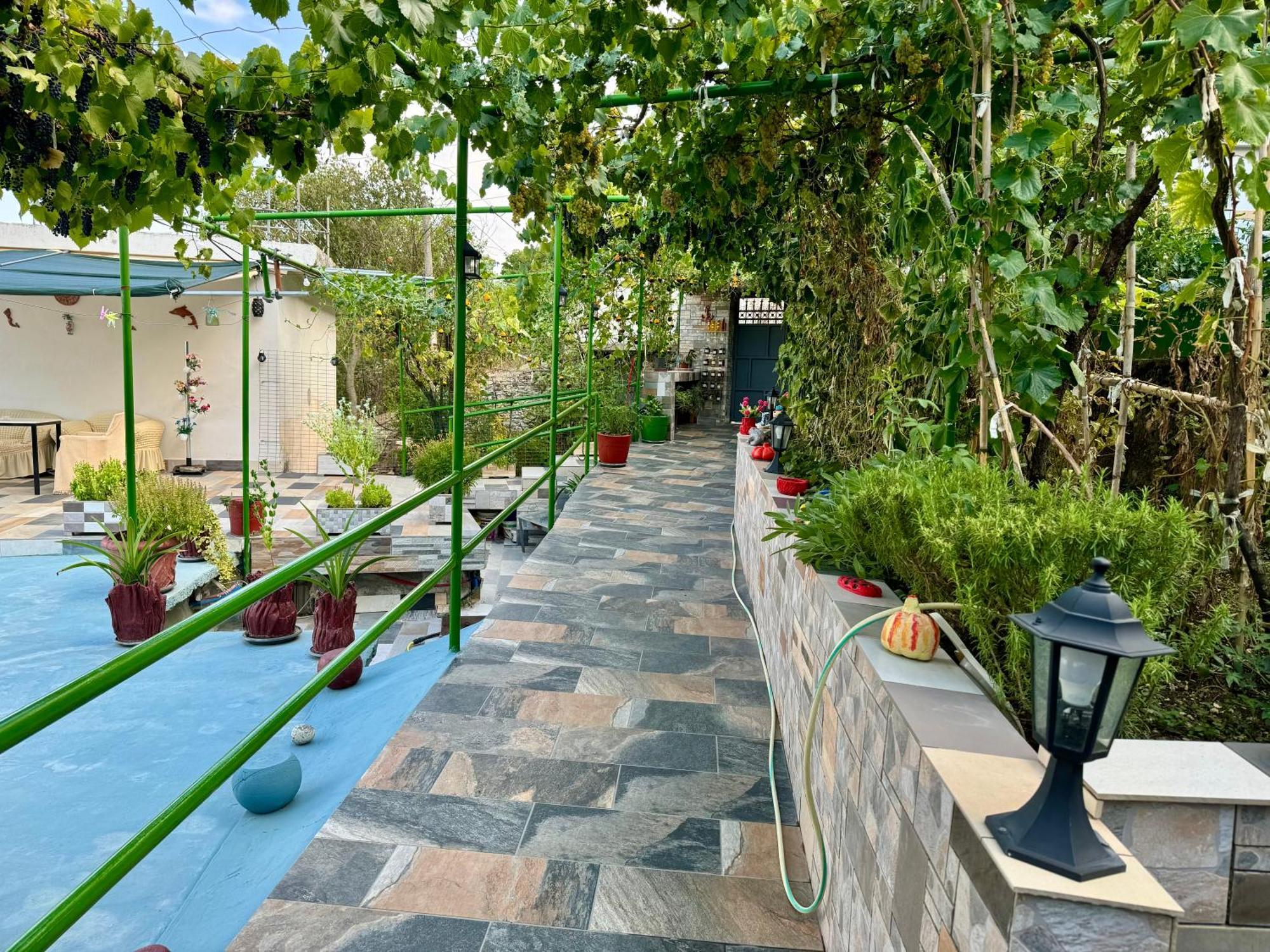 Gjirokastër Panoramic View Guest House מראה חיצוני תמונה