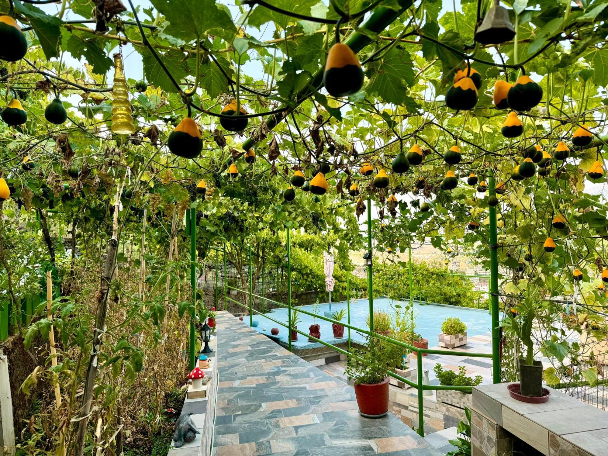 Gjirokastër Panoramic View Guest House מראה חיצוני תמונה